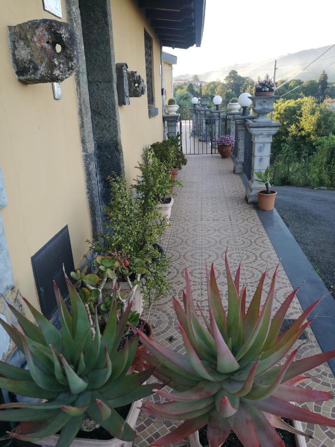 Casa Vacanza Tra Etna E Taormina Villa Ginevra Piedimonte Etneo Exterior foto